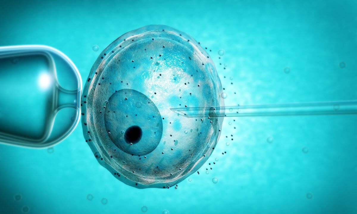 人类性别决定机制与生男生女概率计算模型研究