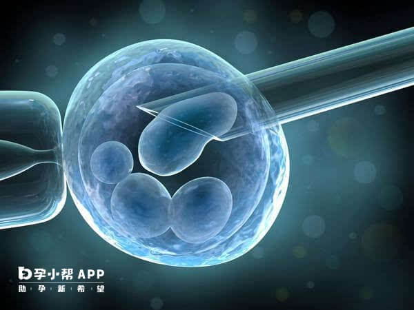 人类性别决定机制与生男生女概率分析