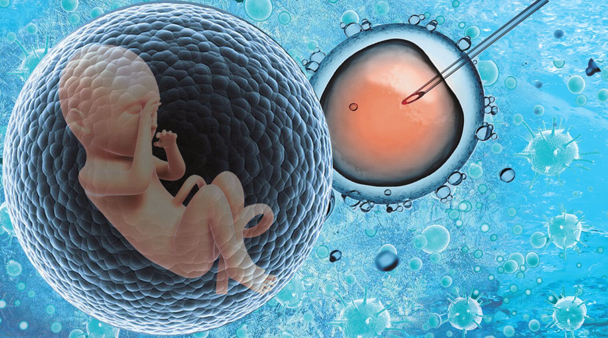 人绒毛膜促性腺激素 怀孕多久可以检测出来